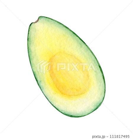 Watercolor avocado on a white background 600 dpi 111817495
