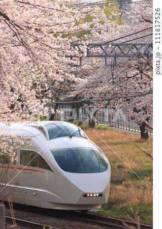 満開の桜の中を駆け抜ける小田急7000形電車_2010/4/6撮影 満開の桜の中を駆け抜ける小田急7000形電車_2010/4/6撮影 111817526