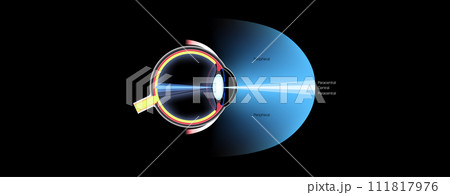 Peripheral vision poster 111817976