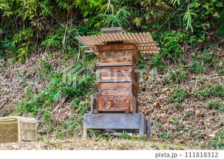 ミツバチの巣箱 ミツバチの巣箱 111818312