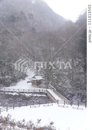 積雪の美霞洞渓谷2024【香川県仲多度郡まんのう町】 111818505