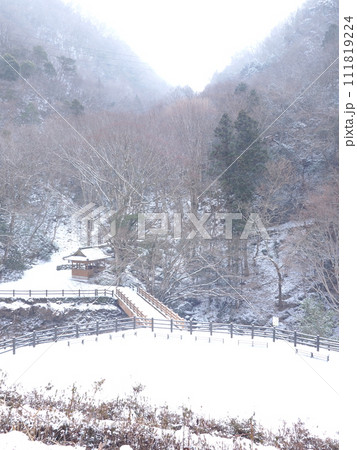 積雪の美霞洞渓谷・道の駅ことなみ【香川県仲多度郡まんのう町】15 積雪の美霞洞渓谷・道の駅ことなみ【香川県仲多度郡まんのう町】15 111819224