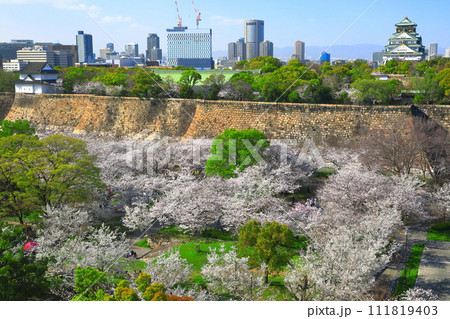 【大阪府】桜が満開の大阪城と大阪ビジネスパーク 111819403