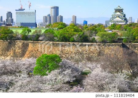 【大阪府】桜が満開の大阪城と大阪ビジネスパーク 【大阪府】桜が満開の大阪城と大阪ビジネスパーク 111819404