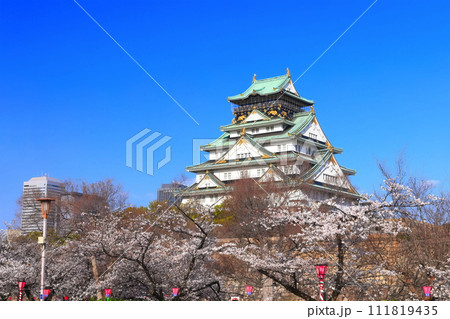 【大阪府】満開の桜と大阪城 【大阪府】満開の桜と大阪城 111819435