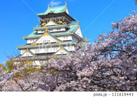 【大阪府】満開の桜と大阪城 【大阪府】満開の桜と大阪城 111819443