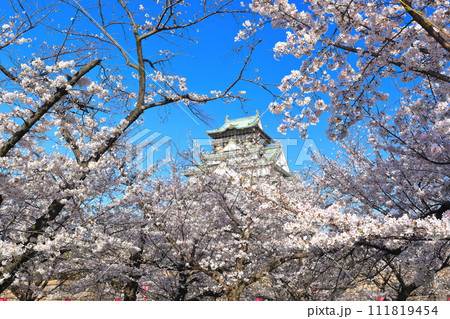 【大阪府】満開の桜と大阪城 111819454