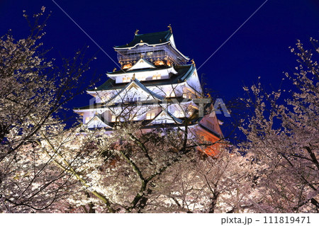 【大阪府】満開の夜桜の大阪城 【大阪府】満開の夜桜の大阪城 111819471