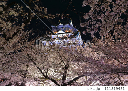 【大阪府】満開の夜桜の大阪城 111819481