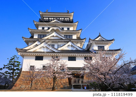 【広島県】満開の桜と復興後の福山城 111819499
