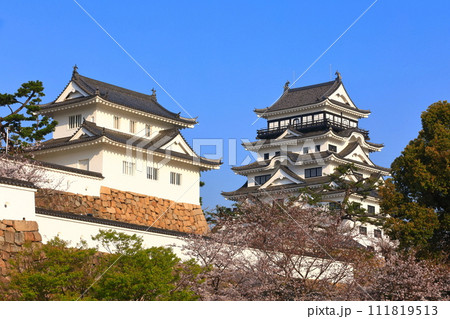 【広島県】満開の桜と復興後の福山城 【広島県】満開の桜と復興後の福山城 111819513