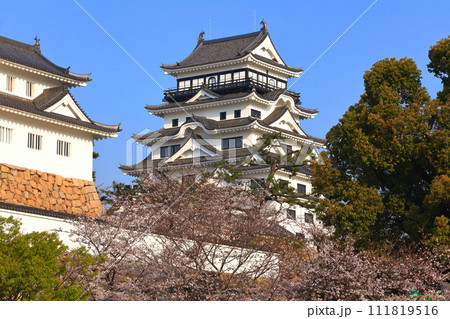 【広島県】満開の桜と復興後の福山城 【広島県】満開の桜と復興後の福山城 111819516