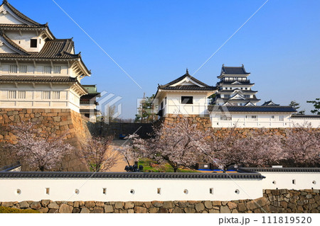 【広島県】満開の桜と復興後の福山城 【広島県】満開の桜と復興後の福山城 111819520