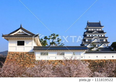 【広島県】満開の桜と復興後の福山城 111819522