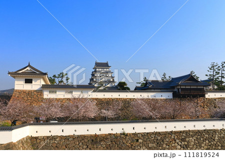 【広島県】満開の桜と復興後の福山城 【広島県】満開の桜と復興後の福山城 111819524