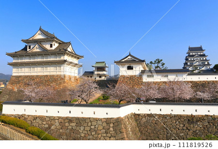 【広島県】満開の桜と復興後の福山城 111819526