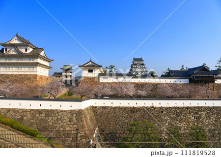 【広島県】満開の桜と復興後の福山城 111819528