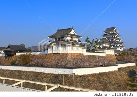 【広島県】満開の桜と復興後の福山城 111819535
