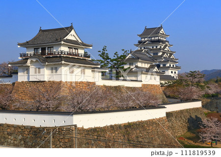 【広島県】満開の桜と復興後の福山城 111819539