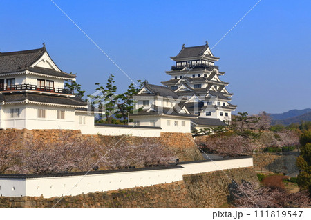 【広島県】満開の桜と復興後の福山城 111819547
