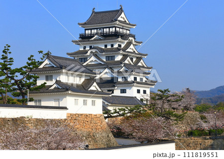 【広島県】満開の桜と復興後の福山城 111819551