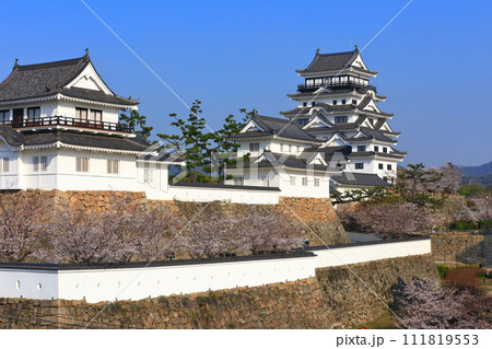 【広島県】満開の桜と復興後の福山城 【広島県】満開の桜と復興後の福山城 111819553