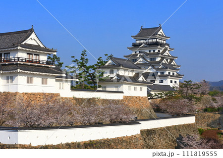 【広島県】満開の桜と復興後の福山城 【広島県】満開の桜と復興後の福山城 111819555