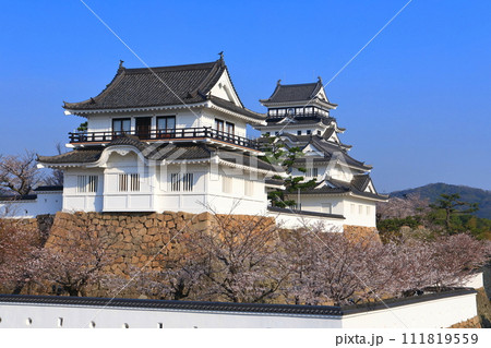 【広島県】満開の桜と復興後の福山城 111819559
