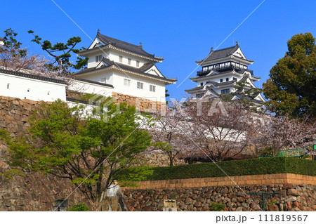 【広島県】満開の桜と復興後の福山城 【広島県】満開の桜と復興後の福山城 111819567
