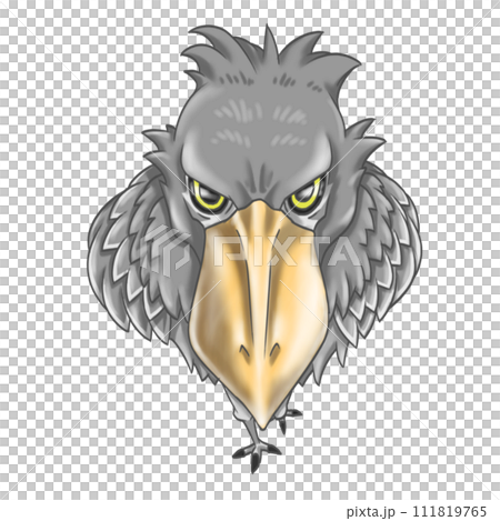 A shoebill stork stares at you A shoebill stork stares at you 111819765