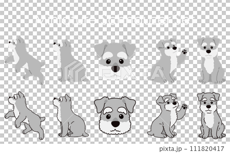 Simple and cute miniature schnauzer illustration set with/without main line 111820417