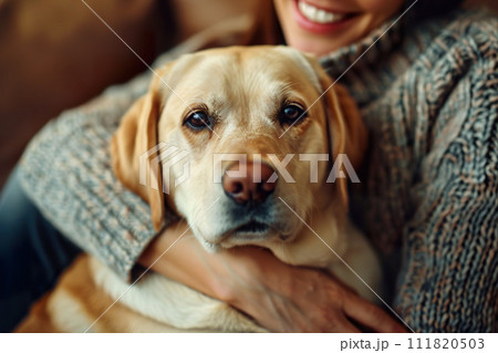 A heartwarming close-up of a beloved Labrador retriever gently embraced by its owner. Generative AI. 111820503
