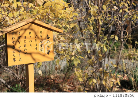 春の七草を記した立て看板 111820856