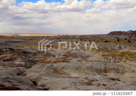 Rugged and Desolate Landscape Petrified Forest National Park Arizona Rugged and Desolate Landscape Petrified Forest National Park Arizona 111820867