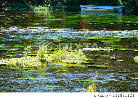 静岡県清水町 柿田川湧水群の風景 111821121