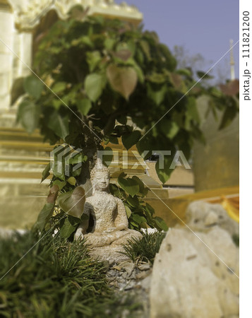 Buddha in the summer garden 111821200
