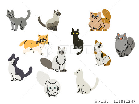 さまざまな柄とポーズの猫のイラストセット 111821247