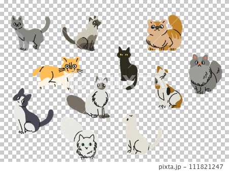 さまざまな柄とポーズの猫のイラストセット 111821247