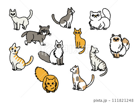 さまざまな柄とポーズの猫のイラストセット 111821248