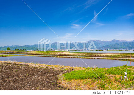 春の安曇野 自然風景 春の安曇野 自然風景 111821275
