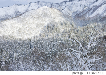 雪化粧した山に陽が差す美しい景色 111821432