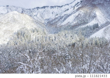 雪化粧した山に陽が差す美しい景色 雪化粧した山に陽が差す美しい景色 111821433
