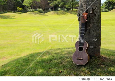 ウクレレ　木陰　自然　外 111821483