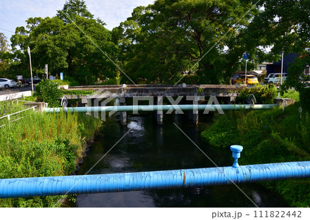 佐賀県佐賀市の公園風景 111822442
