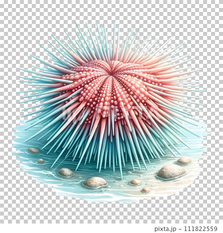 Sea urchin 111822559