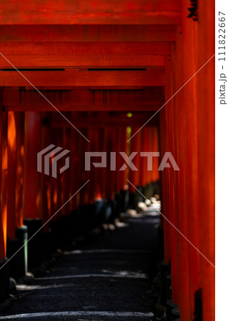 京都府 京都市 伏見稲荷神社 関西 近畿地方 鳥居 夏 観光 神社 仏閣 寺 伝統文化 赤 参拝 京都府 京都市 伏見稲荷神社 関西 近畿地方 鳥居 夏 観光 神社 仏閣 寺 伝統文化 赤 参拝 111822667