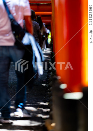 京都府　京都市　伏見稲荷神社　関西　近畿地方　鳥居　夏　観光　神社　仏閣　寺　伝統文化　赤　参拝 111822669