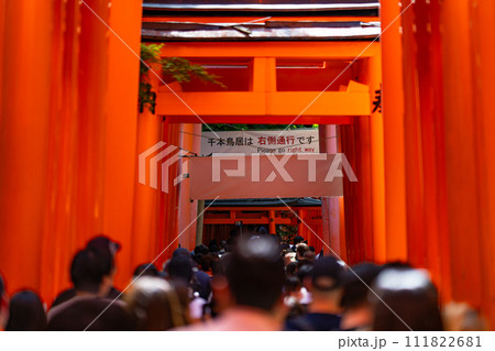 京都府　京都市　伏見稲荷神社　関西　近畿地方　鳥居　夏　観光　神社　仏閣　寺　伝統文化　赤　参拝 111822681