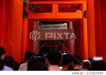 京都府　京都市　伏見稲荷神社　関西　近畿地方　鳥居　夏　観光　神社　仏閣　寺　伝統文化　赤　参拝 111822695