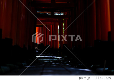 京都府　京都市　伏見稲荷神社　関西　近畿地方　鳥居　夏　観光　神社　仏閣　寺　伝統文化　赤　参拝 111822789